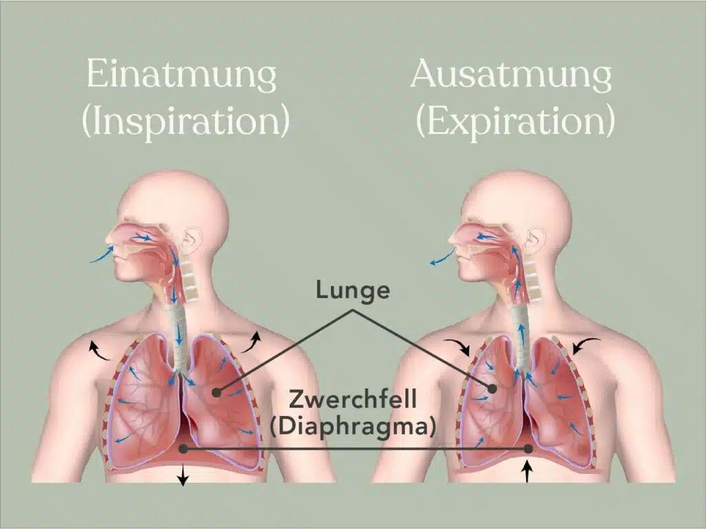 atemgeräusch beim einatmen - Bei welchen atemgeräuschen zum Arzt