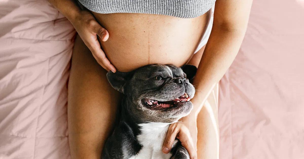 bauch massieren schwangerschaft - Darf ich auf meinen Schwangerschaftsbauch drücken