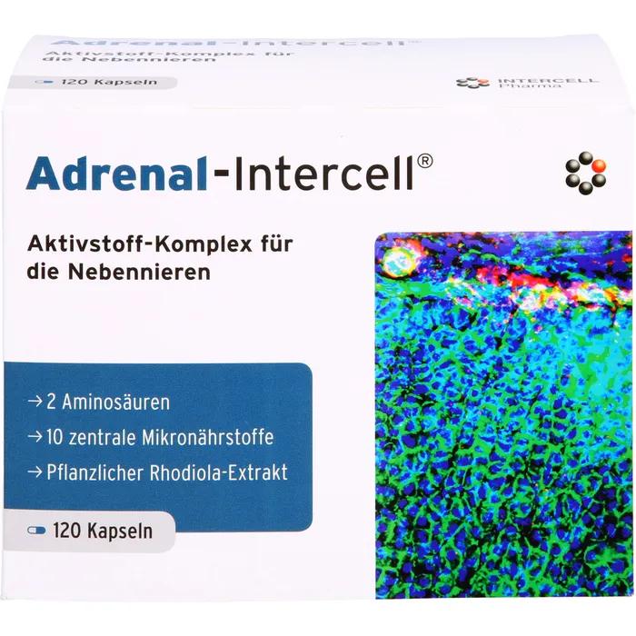 adrenal intercell schwangerschaft - Für was ist Adrenal-Intercell