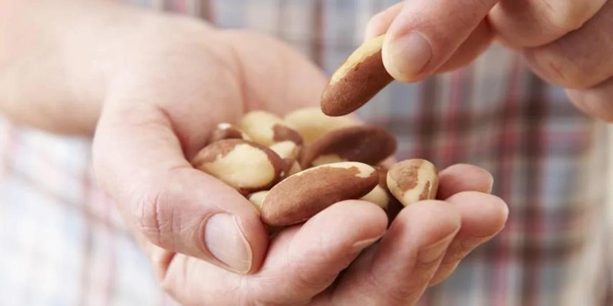 paranuss schwangerschaft - Haben Paranüsse Nebenwirkungen