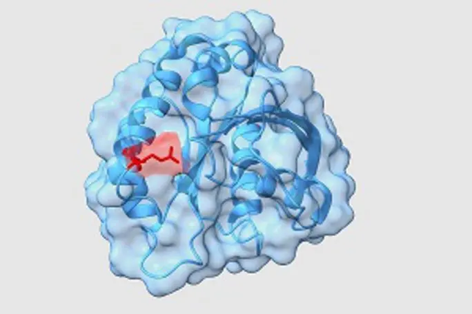 autoimmunerkrankung nach geburt - Hat man Autoimmunerkrankungen von Geburt an