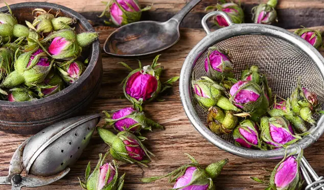 rosentee schwangerschaft - Hat Rosentee Koffein