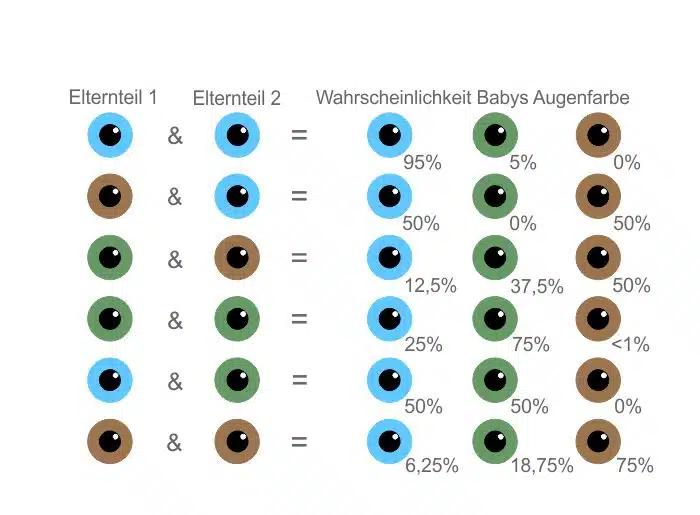wann steht die augenfarbe fest - In welchem Monat ändert sich die Augenfarbe