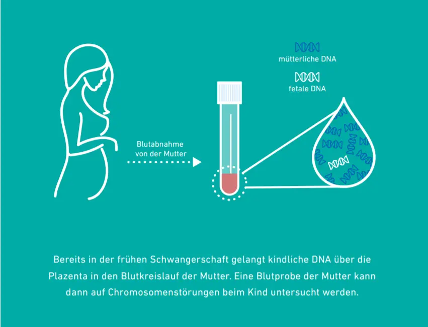 antikörper test schwangerschaft - In welcher SSW Antikörpersuchtest