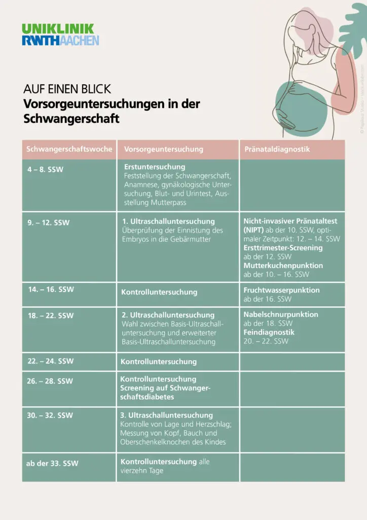 untersuchungen schwangerschaft übersicht - In welcher SSW welche Untersuchung