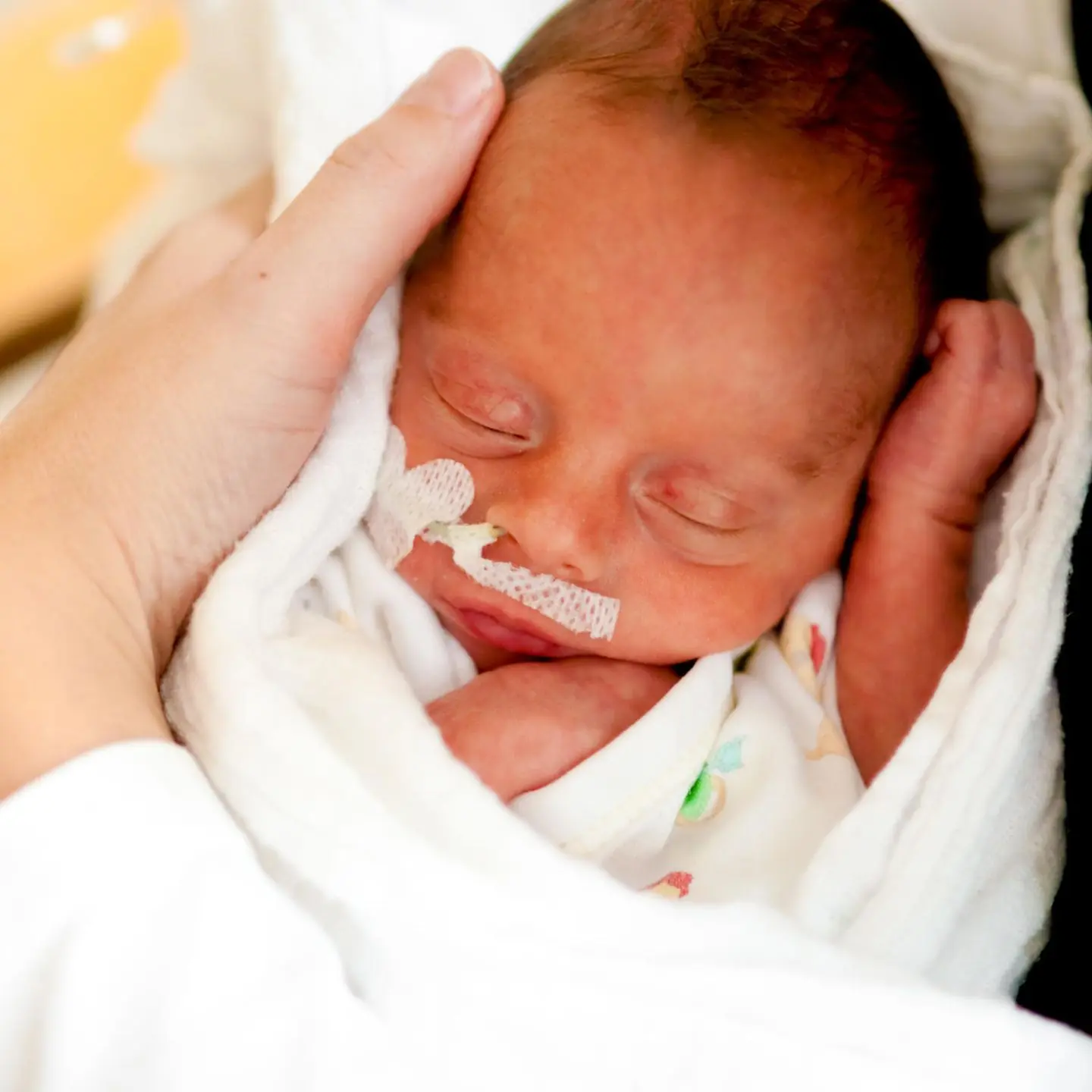 geburt wann - In welcher Woche gebären die meisten