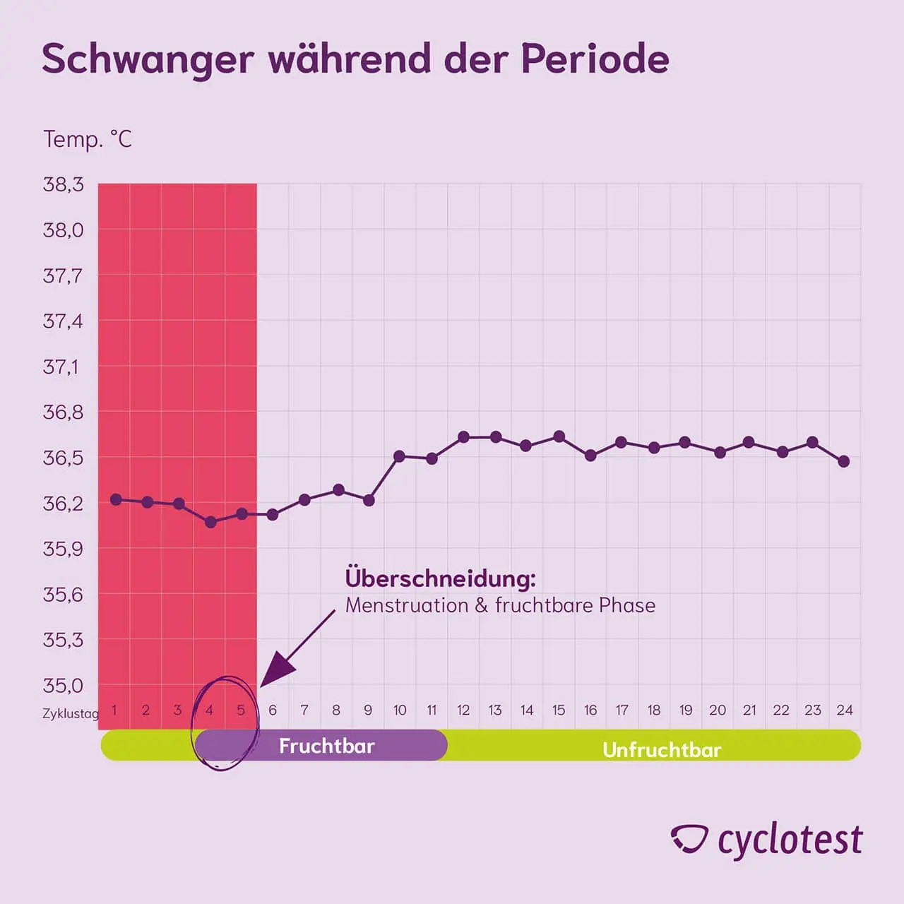 ist man kurz vor der periode fruchtbar - In welcher Zeit kann man nicht schwanger werden