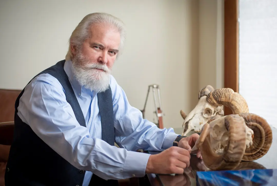 andorn tee schwangerschaft - Ist Andorn gut gegen Husten