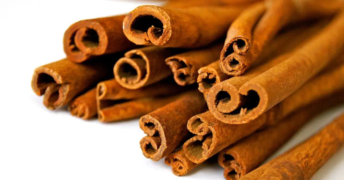 ceylon zimt schwangerschaft - Ist Ceylon-Zimt unbedenklich