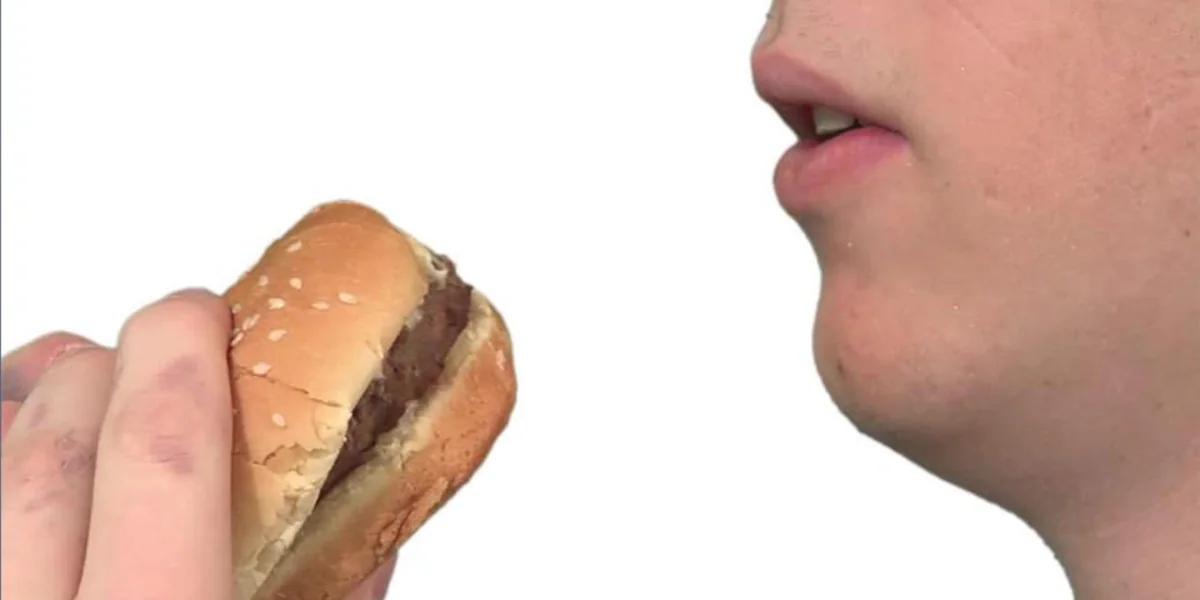 big mac schwangerschaft - Ist der Big Mac gesund