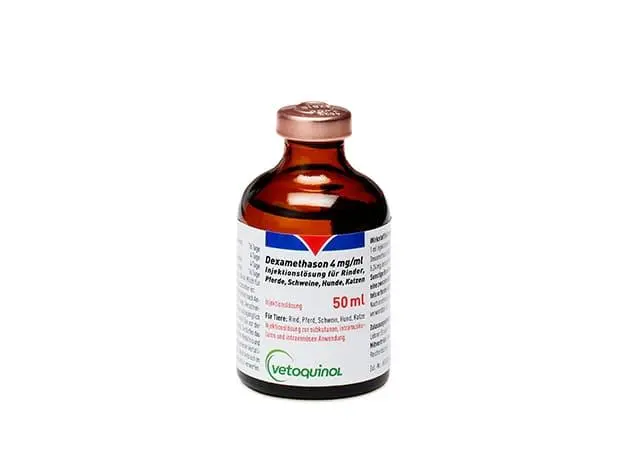 dexamethason schwangerschaft - Ist Dexamethason schmerzstillend