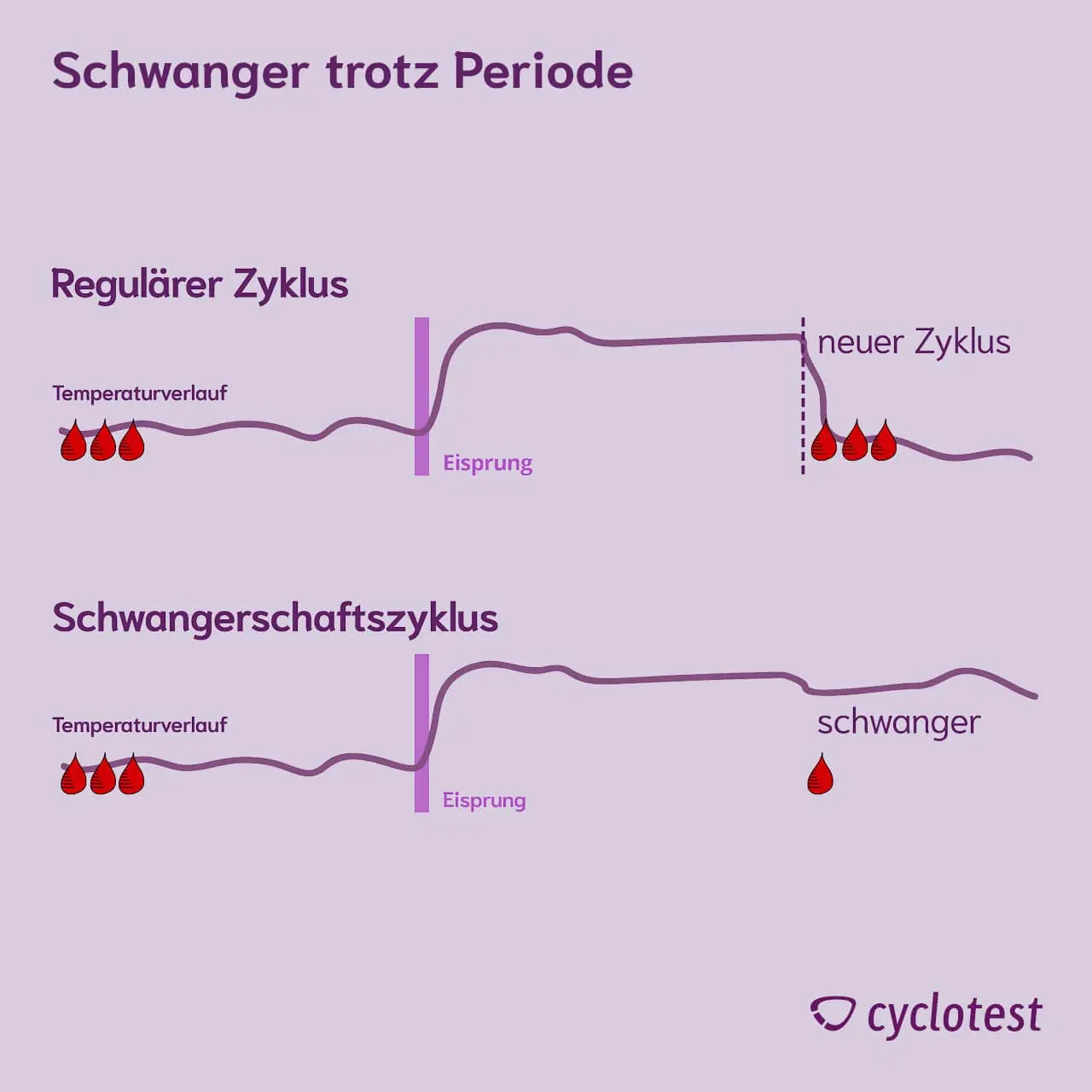 abbruchblutung schwangerschaft - Ist die Abbruchblutung ein Zeichen dafür dass ich nicht schwanger bin