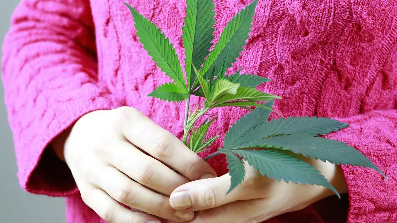 ab und zu einen joint in der schwangerschaft - Ist ein Joint in der Woche ungesund