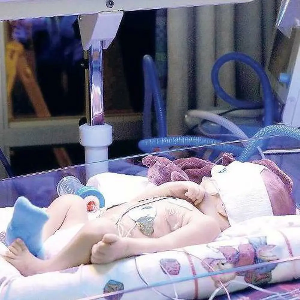 gentest nach geburt - Ist ein Neugeborenen-Screening Pflicht