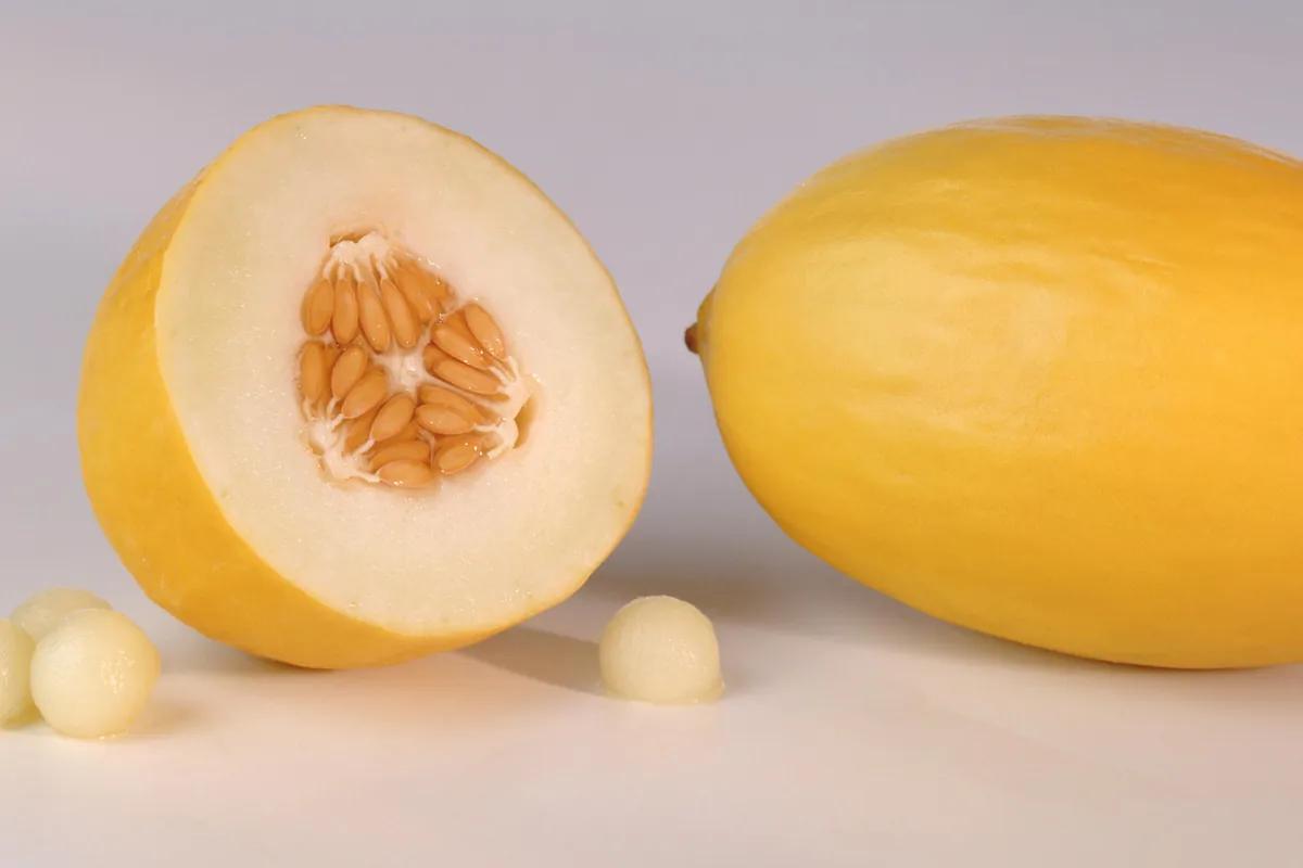 galiamelone schwangerschaft - Ist eine Galiamelone eine zuckermelone
