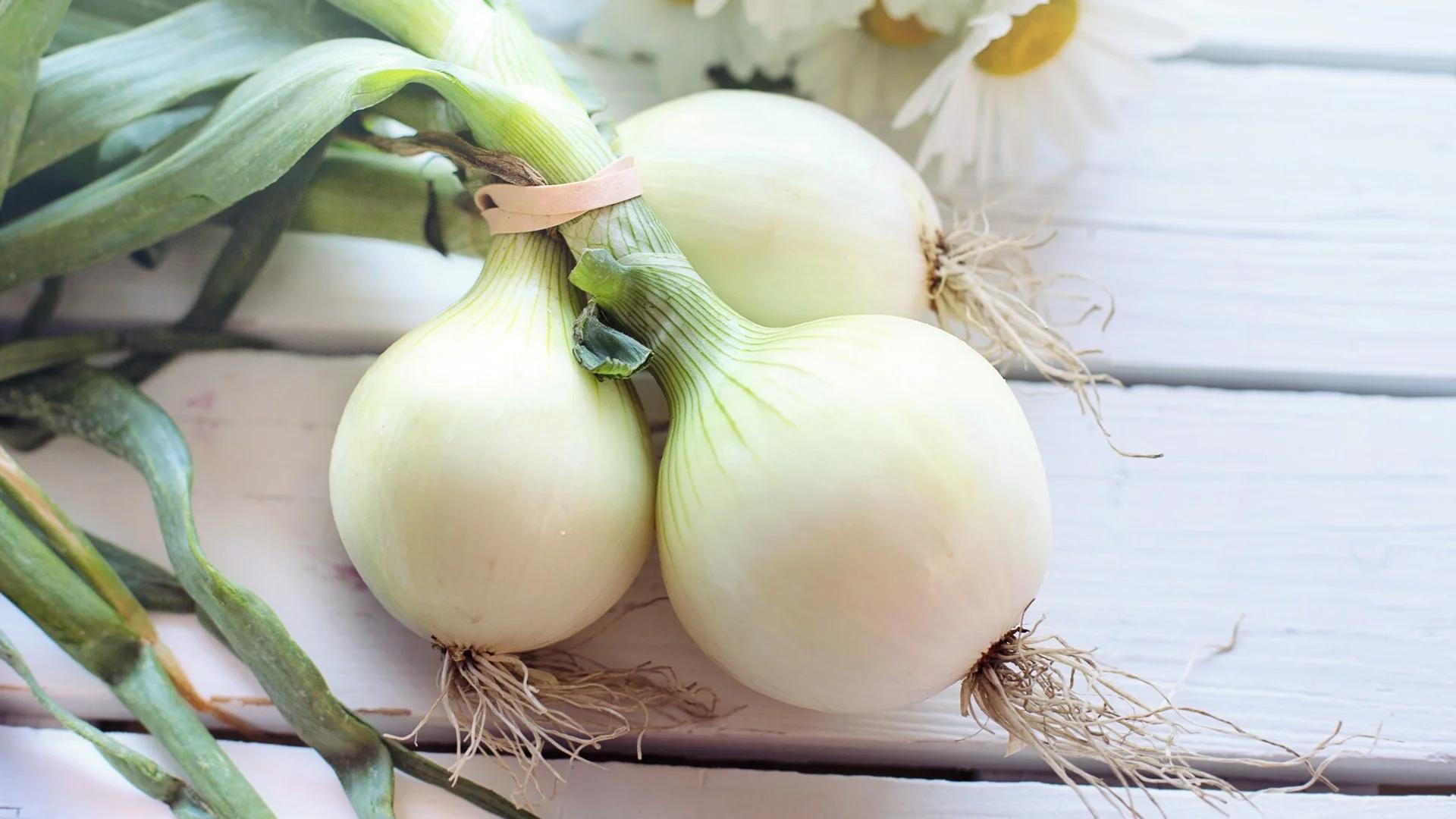 Rohe Zwiebeln in der Schwangerschaft: Was ist zu beachten? - Ist es gesund rohe Zwiebel zu essen rohe zwiebeln schwangerschaft - Ist es gesund rohe Zwiebel zu essen