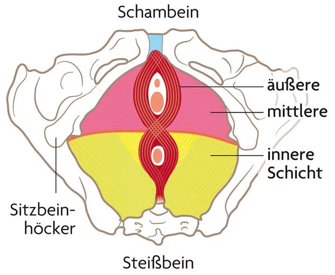 beim niesen urin verlieren nach geburt - Ist es normal beim Niesen Urin zu verlieren