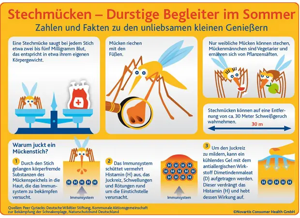 fenistil mückenstich schwangerschaft - Ist Fenistil während der Schwangerschaft sicher