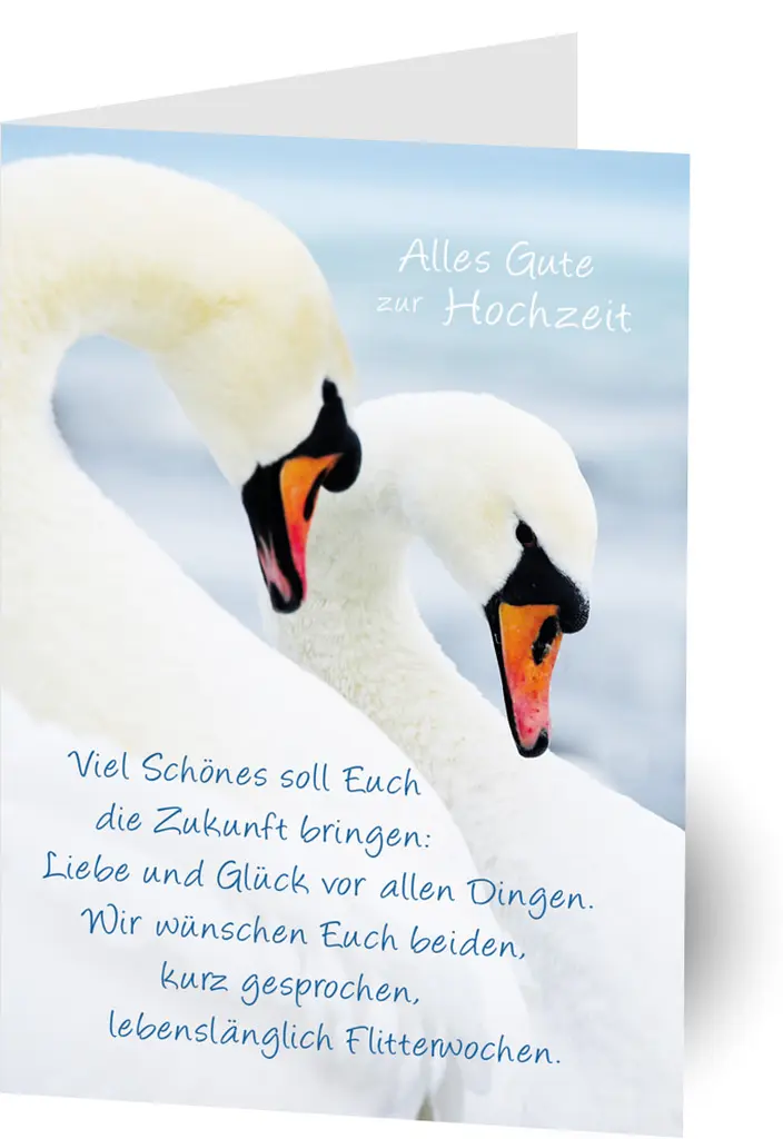 euch beiden alles gute - Ist für euch beide groß oder klein