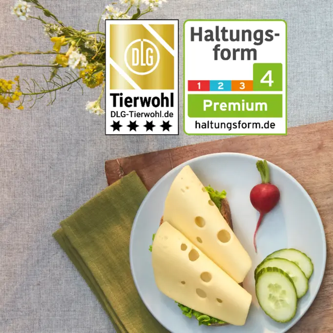 grünländer käse schwangerschaft - Ist Grünländer Käse pasteurisiert