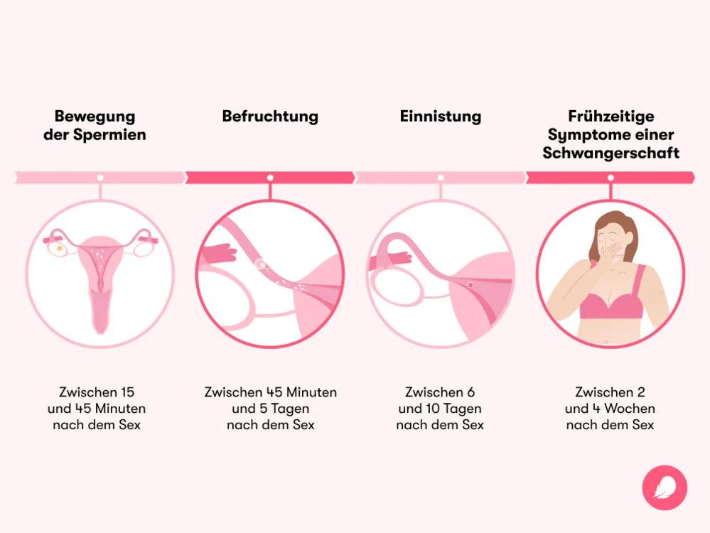 anzeichen schwangerschaft direkt nach eisprung - Ist man bereits direkt nach dem Eisprung schwanger
