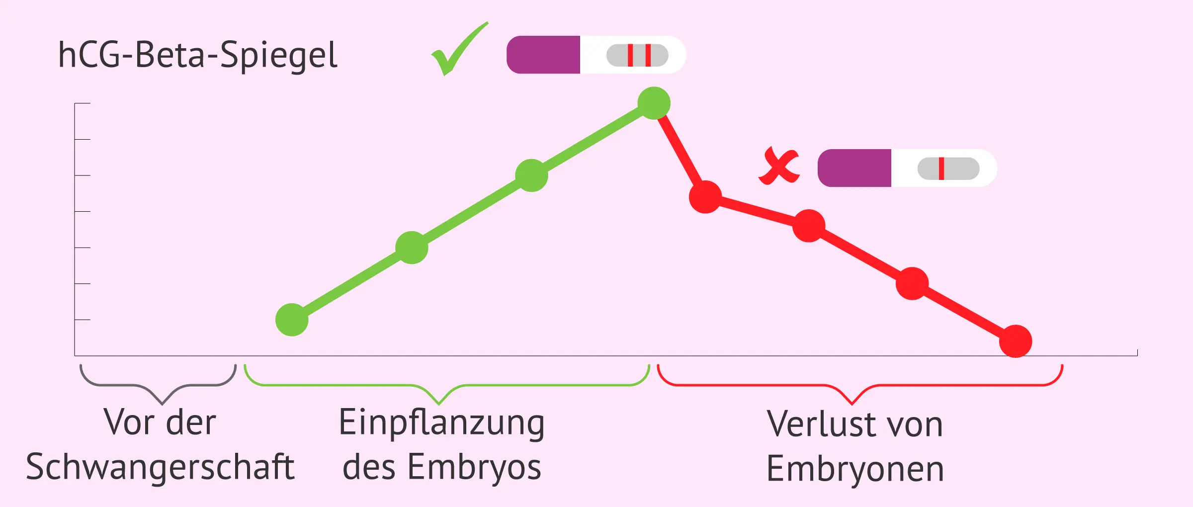 biochemische schwangerschaft symptome - Ist nach einem Abgang der Schwangerschaftstest positiv