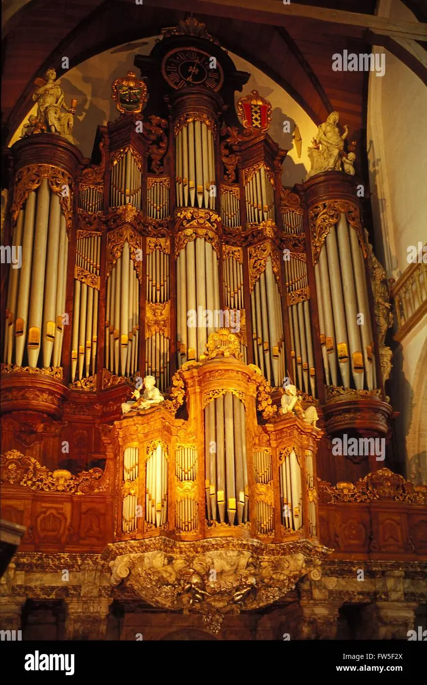 old amsterdam schwangerschaft - Ist Old Amsterdam pasteurisiert