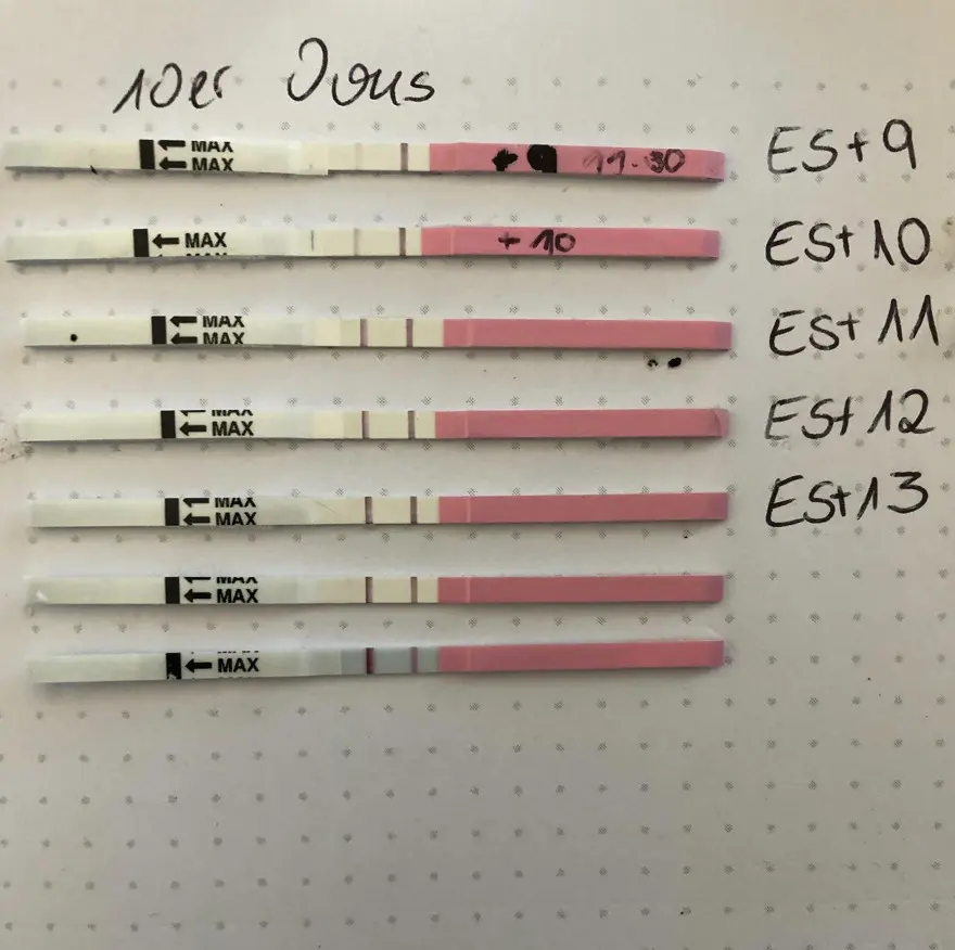 muss ovulationstest bei schwangerschaft positiv sein - Ist Ovulationstest negativ Wenn man schwanger ist