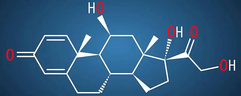 prednisolon schwangerschaft - Ist Prednisolon ein starkes Cortison