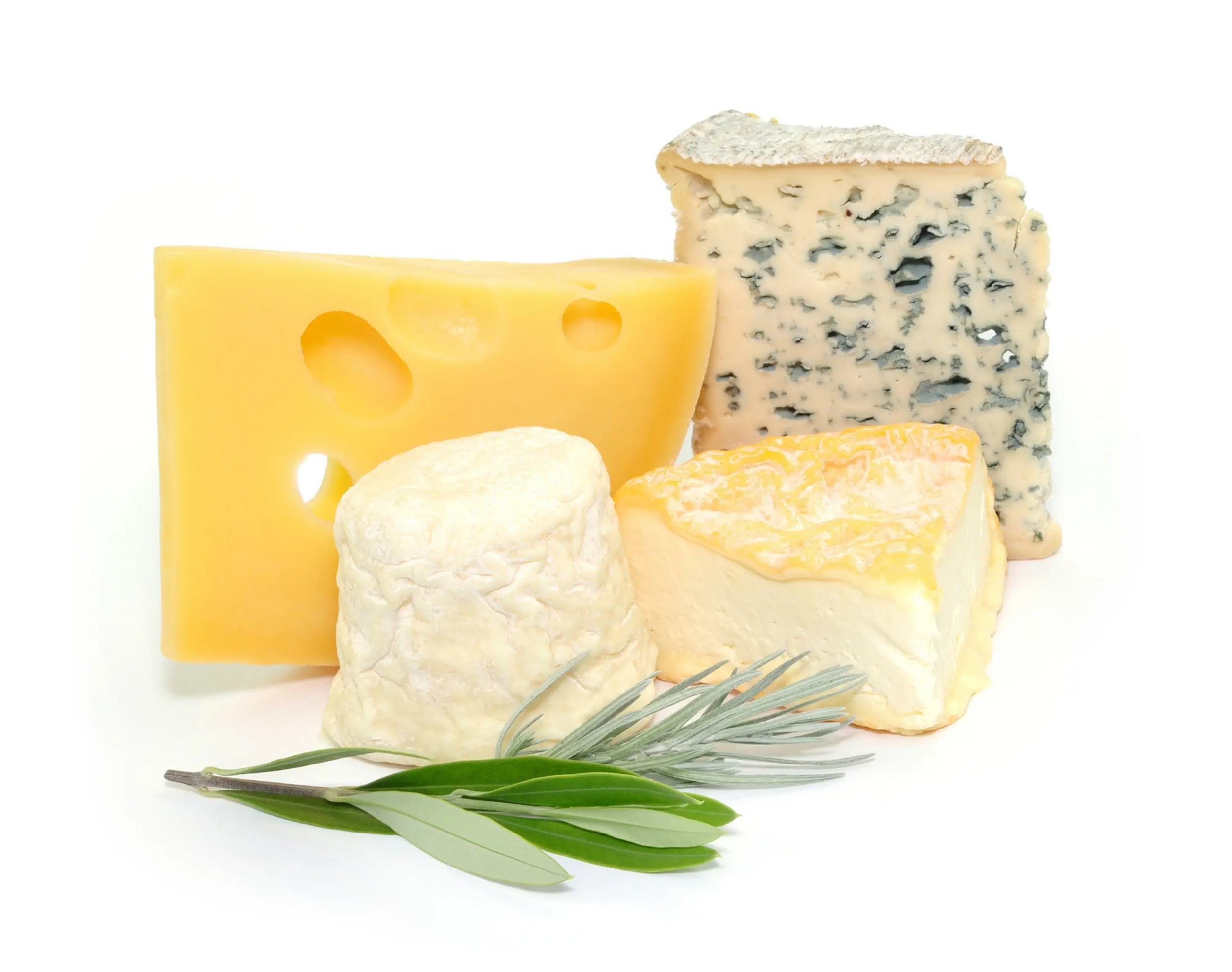 provolone schwangerschaft - Ist Provolone aus Kuhmilch