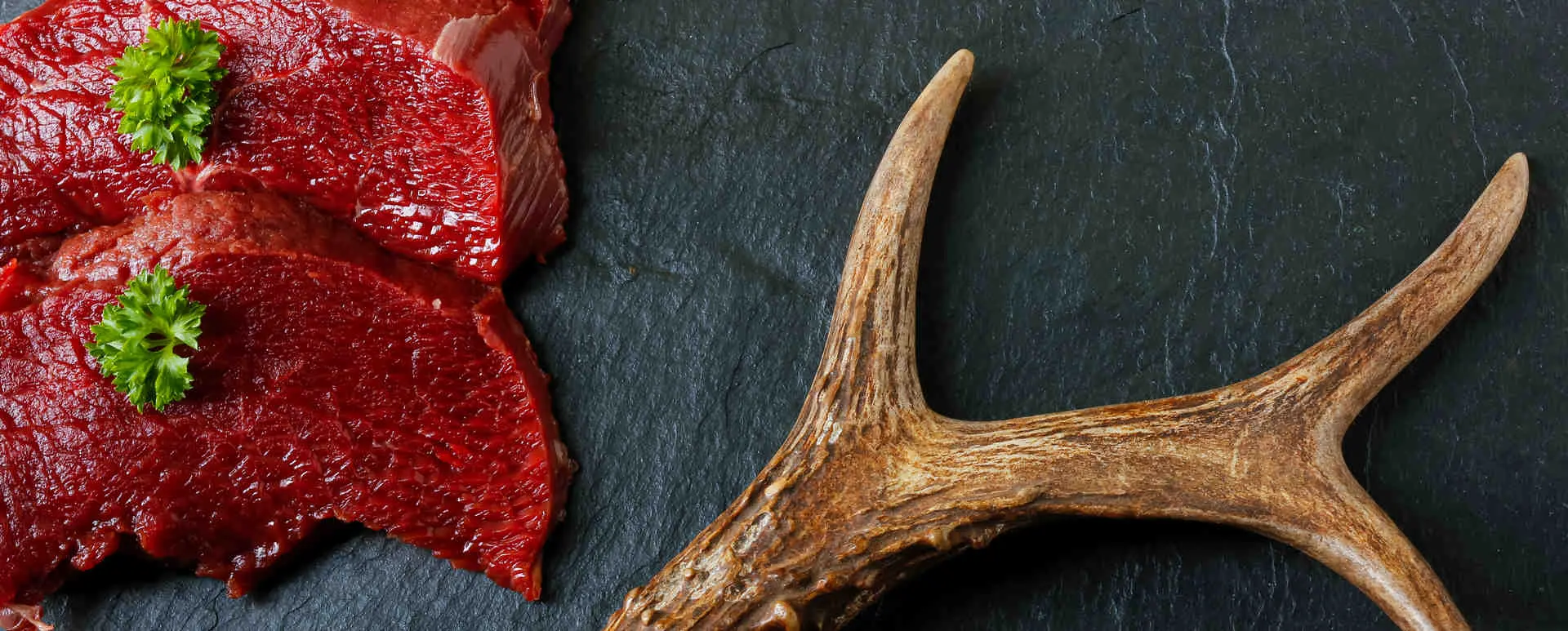 rehrücken schwangerschaft - Ist Rehrücken gesund