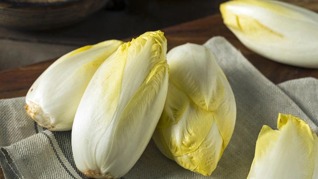 Chicorée in der Schwangerschaft: Ist es gesund? - Ist roher Chicorée gesund chicoree schwangerschaft - Ist roher Chicorée gesund