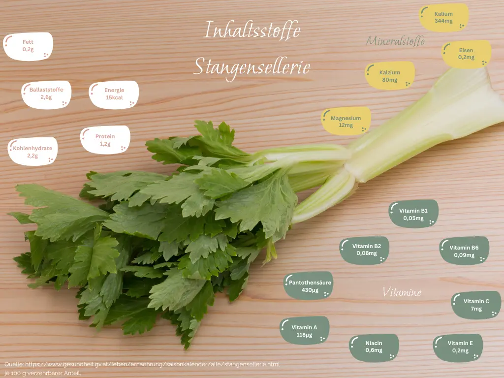 Staude Sellerie in der Schwangerschaft: Was Sie wissen müssen - Ist Sellerie gut für Schwangere staudensellerie schwangerschaft - Ist Sellerie gut für Schwangere