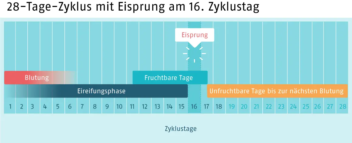 pille danach bei schwangerschaft - Kann die Pille danach eine Schwangerschaft beenden