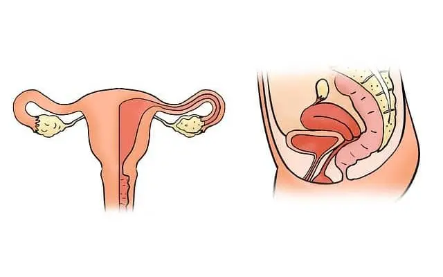 hämatom schwangerschaft wie lange schonen - Kann ein Hämatom platzen