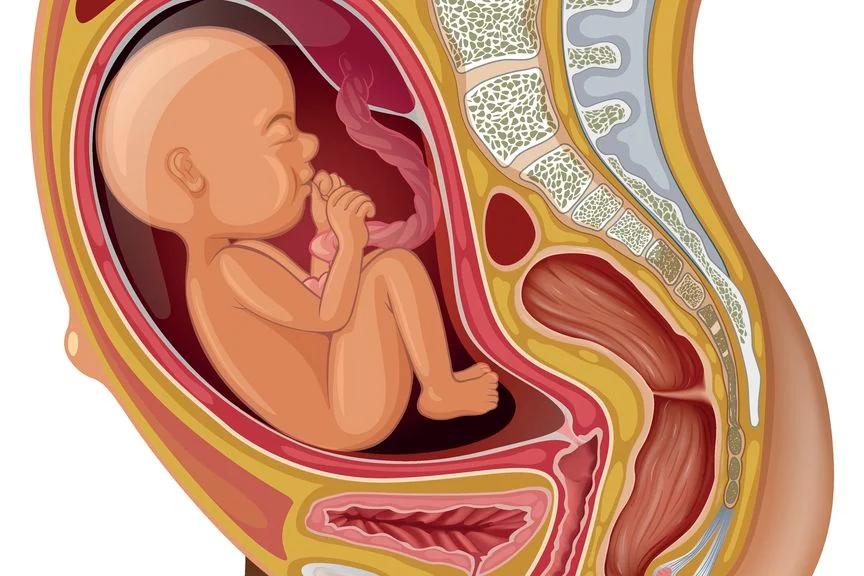 bel geburt - Kann ein Kind in Steißlage geboren werden