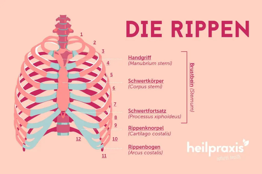 rippenfellentzündung schwangerschaft - Kann eine Rippenfellentzündung von selbst heilen
