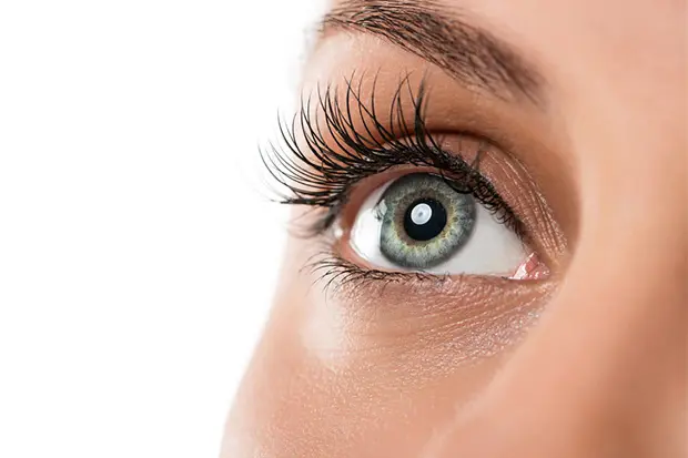 Von Geburt an Blind: Wieder Sehen Lernen - Kann Erblindung geheilt werden von geburt an blind wieder sehen - Kann Erblindung geheilt werden