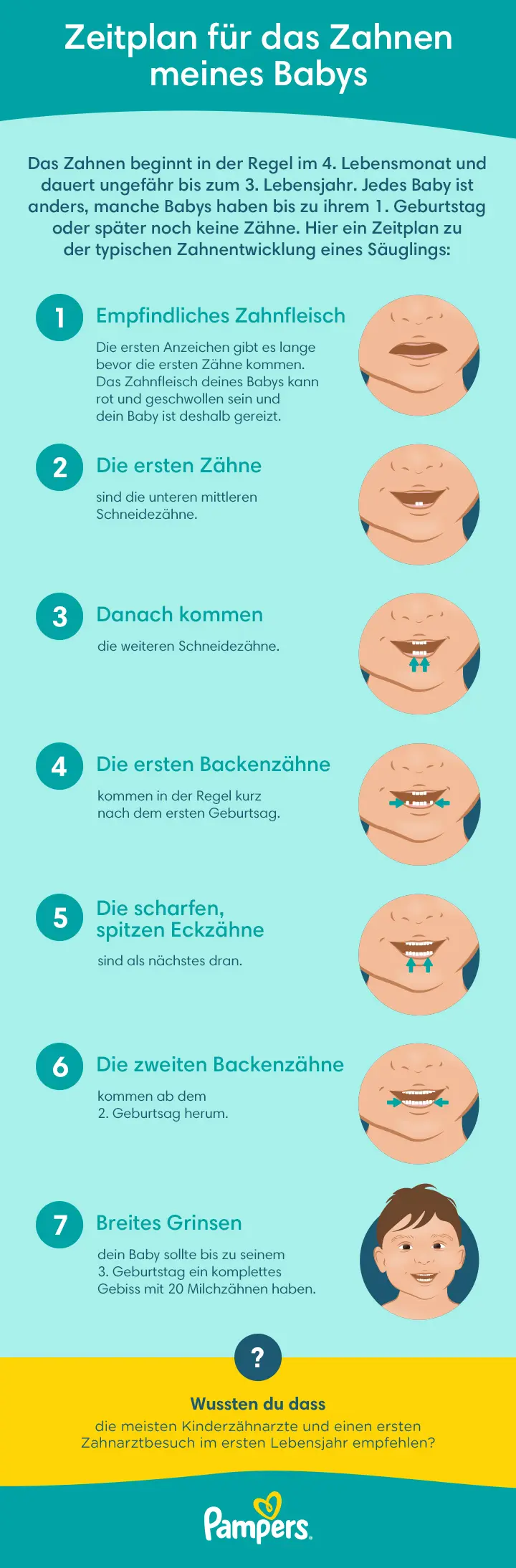 welche zähne kommen zuerst - Kann es sein dass die oberen Zähne zuerst kommen