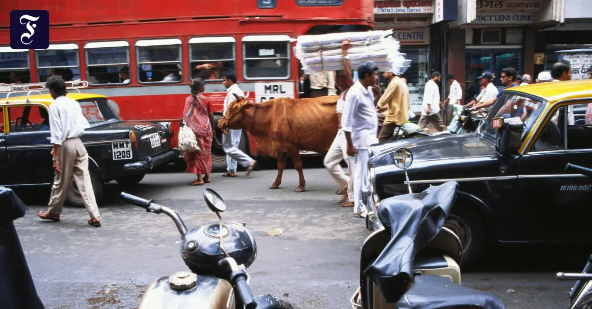 geburt hinduismus - Kann man als Kuh wiedergeboren werden Hinduismus