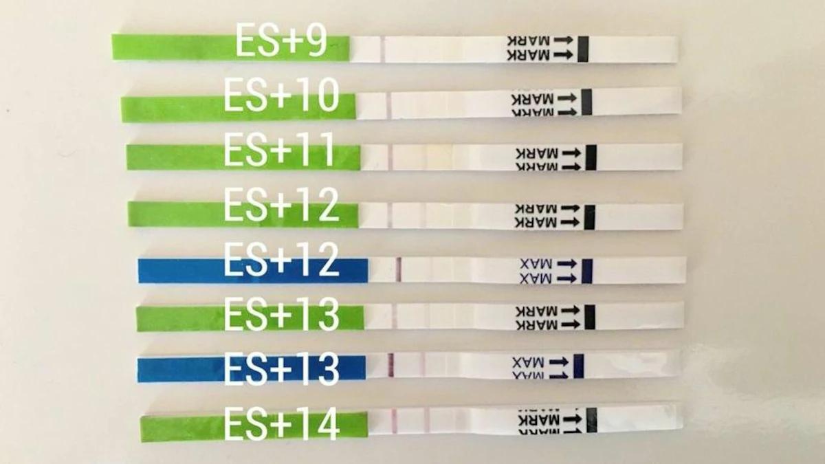 muss ovulationstest bei schwangerschaft positiv sein - Kann man auch ohne LH Anstieg schwanger werden