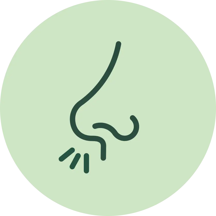 fieber bei heuschnupfen - Kann man bei Heuschnupfen auch Gliederschmerzen haben