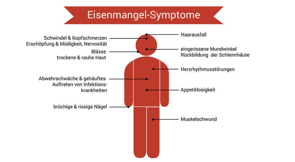 woher eisenmangel - Kann man durch Stress Eisenmangel bekommen