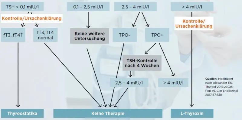 L-Thyroxin in der Schwangerschaft: Was Sie wissen müssen - Kann man in der Schwangerschaft Schilddrüsentabletten nehmen l thyroxin schwangerschaft - Kann man in der Schwangerschaft Schilddrüsentabletten nehmen