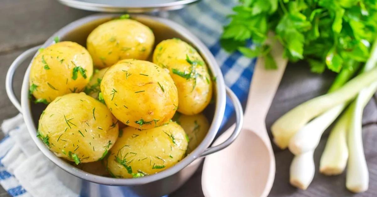 solanin schwangerschaft - Kann man keimende Kartoffeln noch essen Schwangerschaft