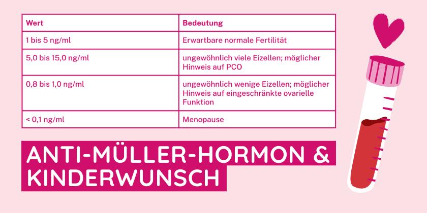 amh-wert während schwangerschaft - Kann man mit niedrigen AMH-Wert schwanger werden