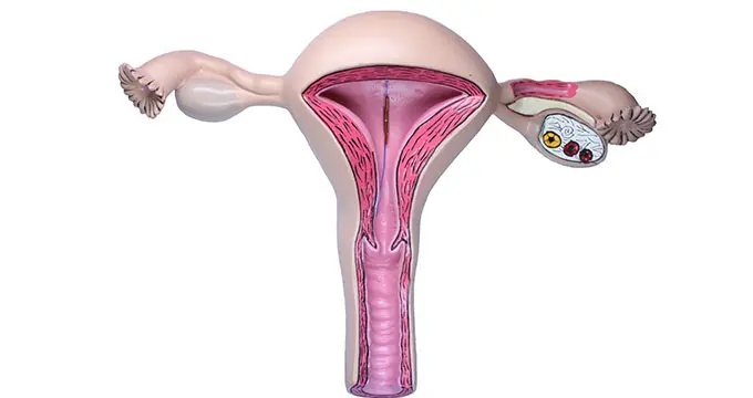 kupferkette nach geburt - Kann man nach der Kupferkette noch Kinder bekommen