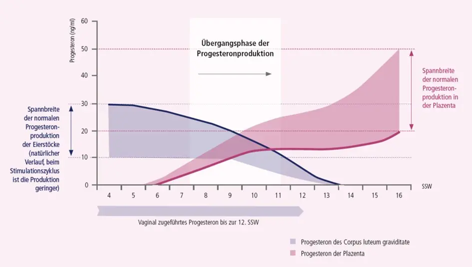 progesteron während schwangerschaft - Kann man Progesteron die ganze Schwangerschaft nehmen