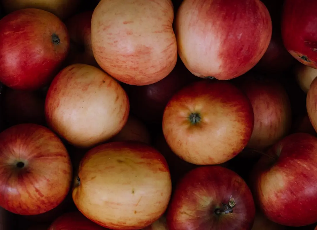 stachelbeeren schwangerschaft - Kann man Stachelbeeren roh essen