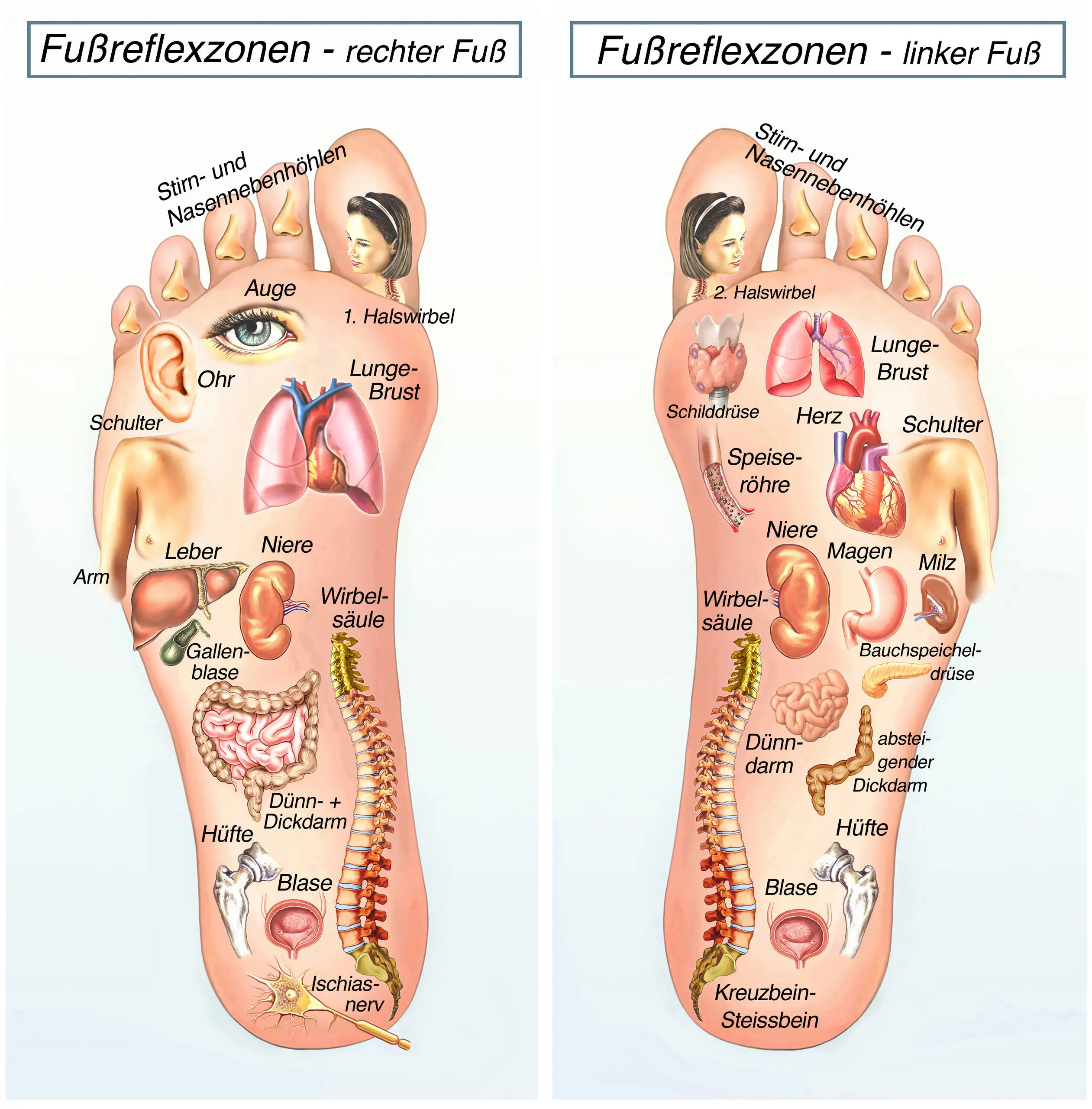 fußsohlen schmerzen schwangerschaft - Kann man während der Schwangerschaft eine Plantarfasziitis entwickeln